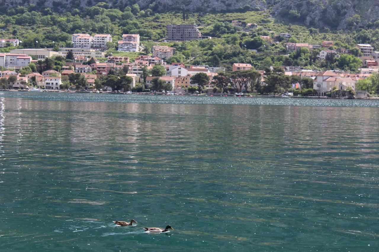 Mare E Montagna Apartment Kotor Exterior foto